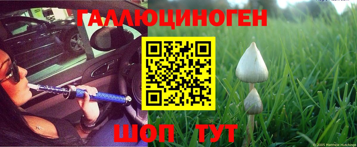 купить   Галлюциногенные грибы Psilocybine cubensis  Вход с VPN  Советский 
