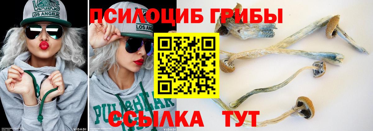 Галлюциногенные грибы прущие грибы Советский